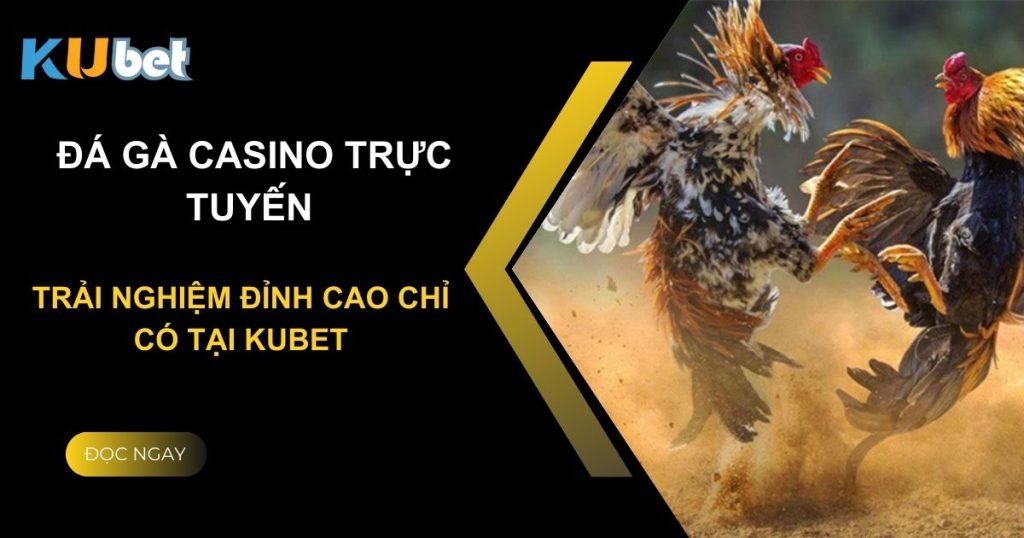 Đá gà casino trực tuyến: Trải nghiệm đỉnh cao chỉ có tại Kubet