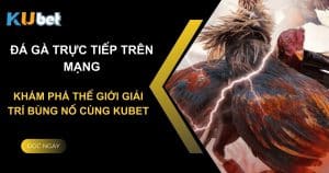 Đá gà trực tiếp trên mạng: Khám phá thế giới giải trí bùng nổ cùng Kubet