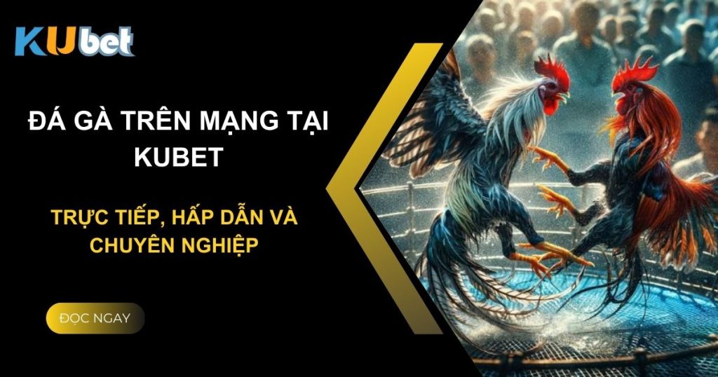 Đá gà trên mạng tại Kubet: Trực tiếp, hấp dẫn và chuyên nghiệp