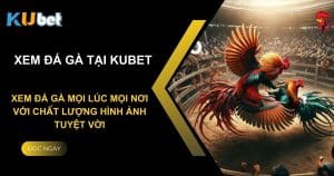 Kubet - Xem đá gà mọi lúc mọi nơi với chất lượng hình ảnh tuyệt vời